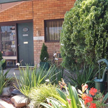 Ningana Motel Mudgee Dış mekan fotoğraf