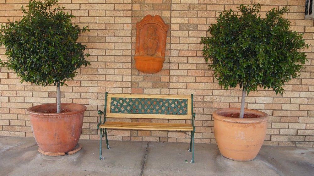 Ningana Motel Mudgee Dış mekan fotoğraf